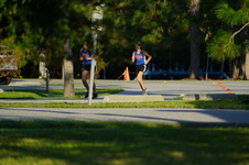 Enlarge photo 318