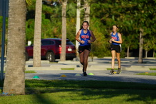 Enlarge photo 319
