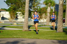 Enlarge photo 323