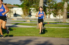 Enlarge photo 327