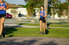 Enlarge photo 328