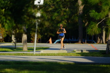 Enlarge photo 329