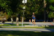 Enlarge photo 330