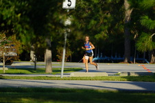 Enlarge photo 331