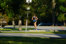 Enlarge photo 333