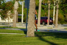 Enlarge photo 339