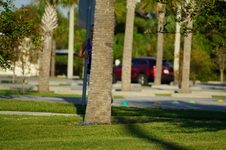 Enlarge photo 340