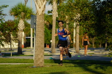 Enlarge photo 395