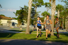 Enlarge photo 396