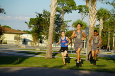 Enlarge photo 399