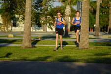 Enlarge photo 416