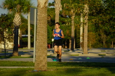 Enlarge photo 451