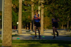 Enlarge photo 474