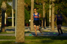 Enlarge photo 478