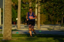 Enlarge photo 482