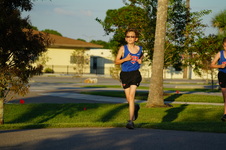 Enlarge photo 486