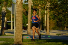 Enlarge photo 493