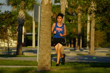 Enlarge photo 498