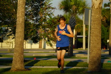 Enlarge photo 528