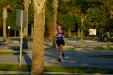 Enlarge photo 535