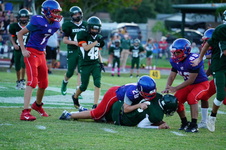 Enlarge photo 31