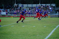 Enlarge photo 155