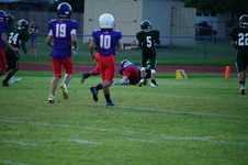 Enlarge photo 156