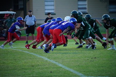 Enlarge photo 161