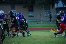 Enlarge photo 165