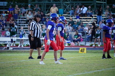 Enlarge photo 169