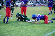 Enlarge photo 175