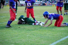 Enlarge photo 176