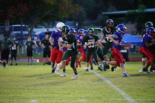 Enlarge photo 203