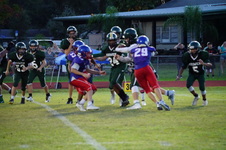 Enlarge photo 205