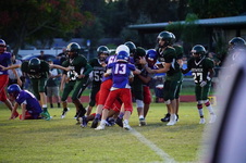 Enlarge photo 211