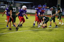 Enlarge photo 241