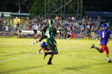 Enlarge photo 268