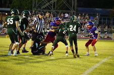 Enlarge photo 282