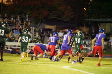 Enlarge photo 335