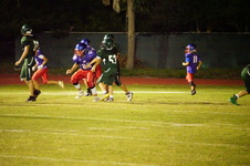 Enlarge photo 394