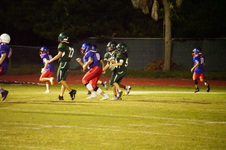 Enlarge photo 397