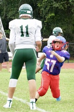 Enlarge photo 42