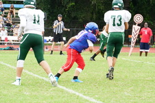 Enlarge photo 44
