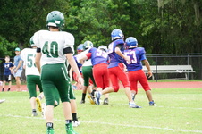 Enlarge photo 47