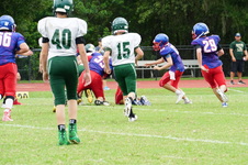 Enlarge photo 51