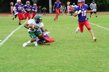 Enlarge photo 55