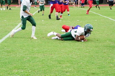 Enlarge photo 60