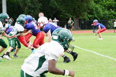 Enlarge photo 62