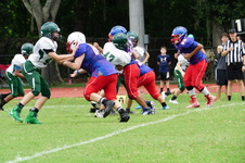 Enlarge photo 66