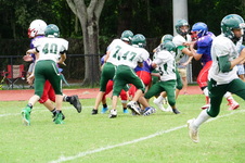 Enlarge photo 67